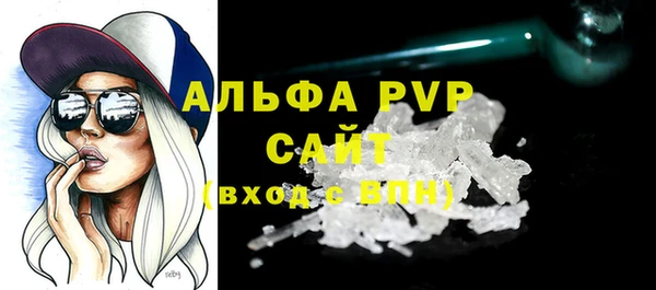 ПСИЛОЦИБИНОВЫЕ ГРИБЫ Михайлов