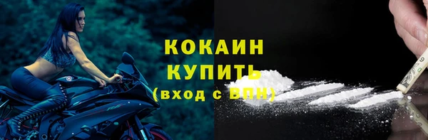ПСИЛОЦИБИНОВЫЕ ГРИБЫ Михайлов