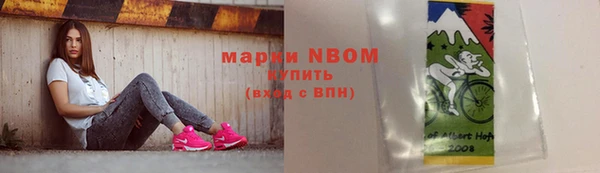 ПСИЛОЦИБИНОВЫЕ ГРИБЫ Михайлов