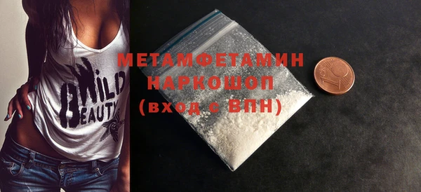 ПСИЛОЦИБИНОВЫЕ ГРИБЫ Михайлов