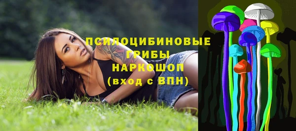 соль ск Михайловка