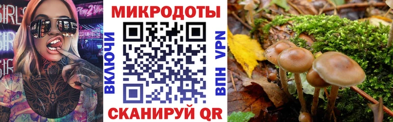 blacksprut ССЫЛКА darknet наркотические препараты Псилоцибиновые грибы мицелий Мыски