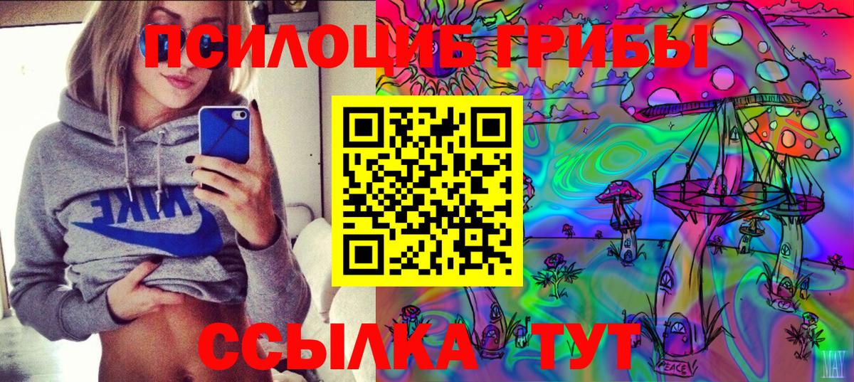 Галлюциногенные грибы мицелий Мыски