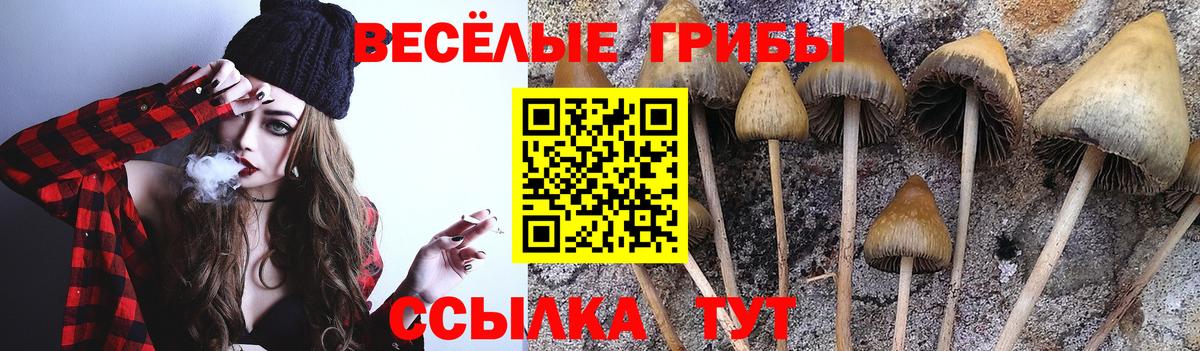 Галлюциногенные грибы Psilocybine cubensis Мыски